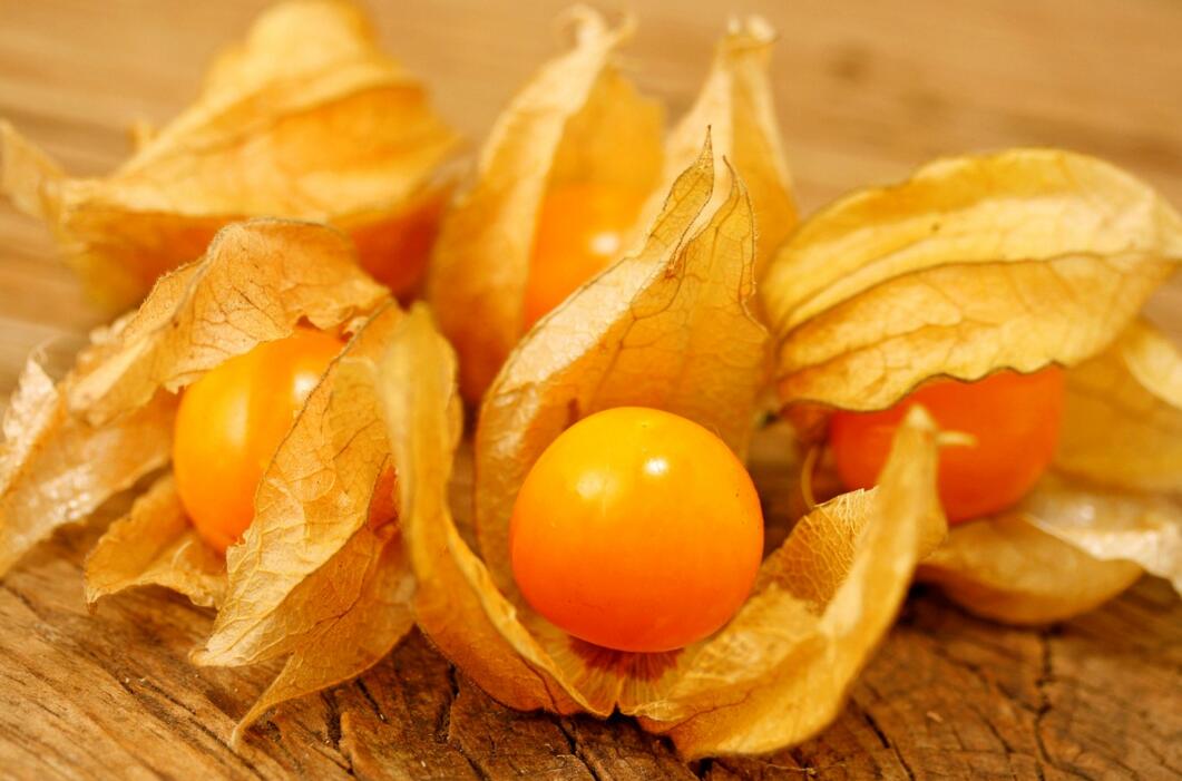 農(nóng)業(yè)自動氣象站助力菇娘規(guī)?；N植
